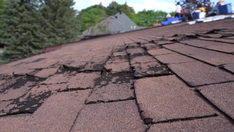 Best Roof Waterproofing  in USA